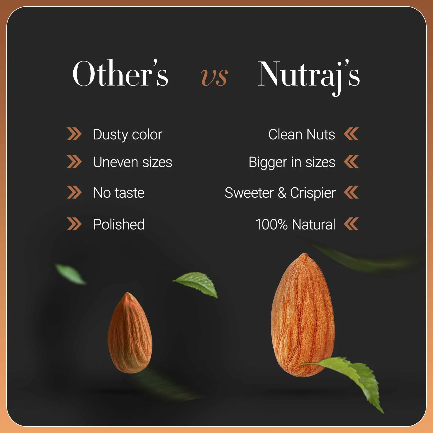 Nutraj Anmol Jumbo Size Sonora Almonds 500gm - Image 6