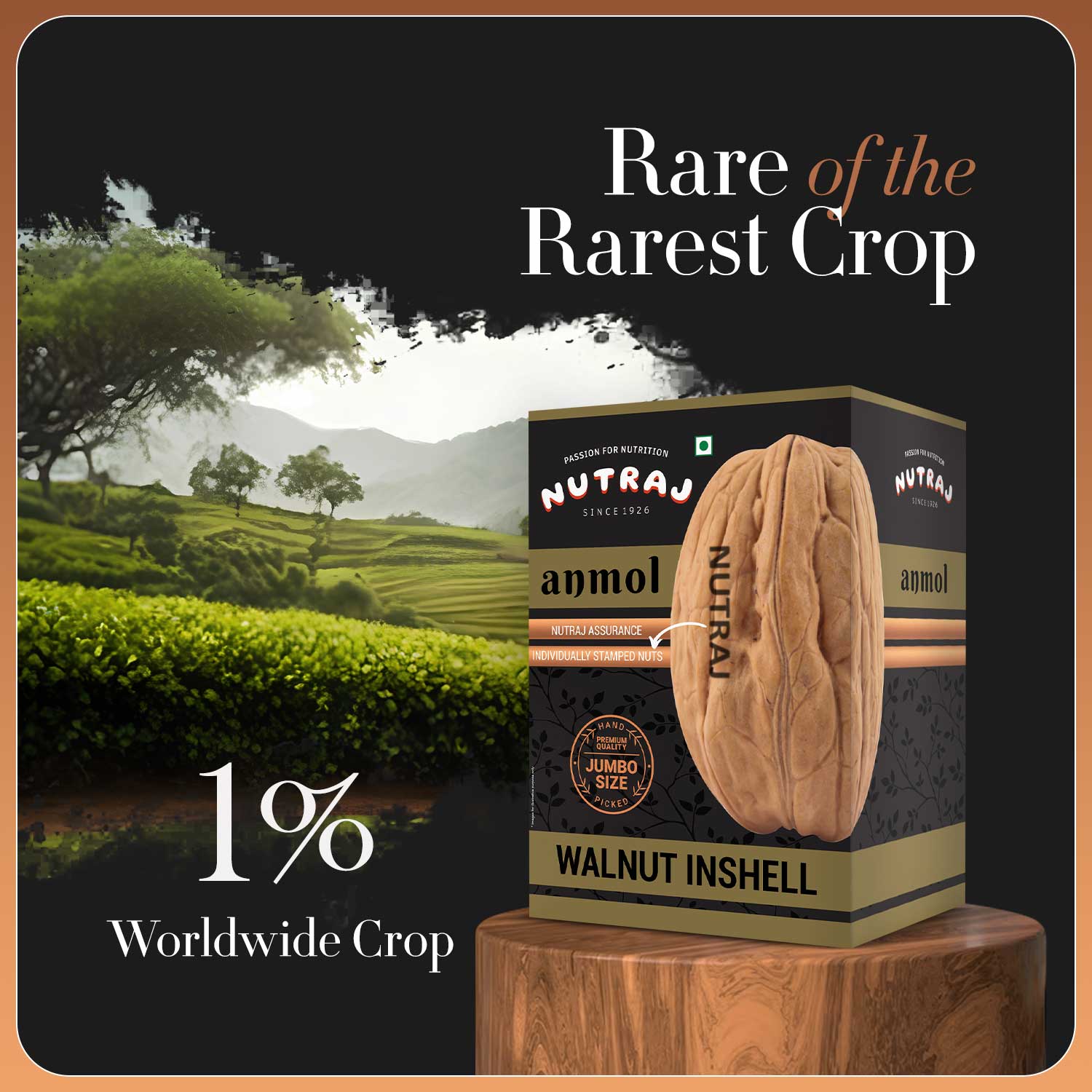 Nutraj Anmol Jumbo Size Walnut Inshell 1Kg - Image 3