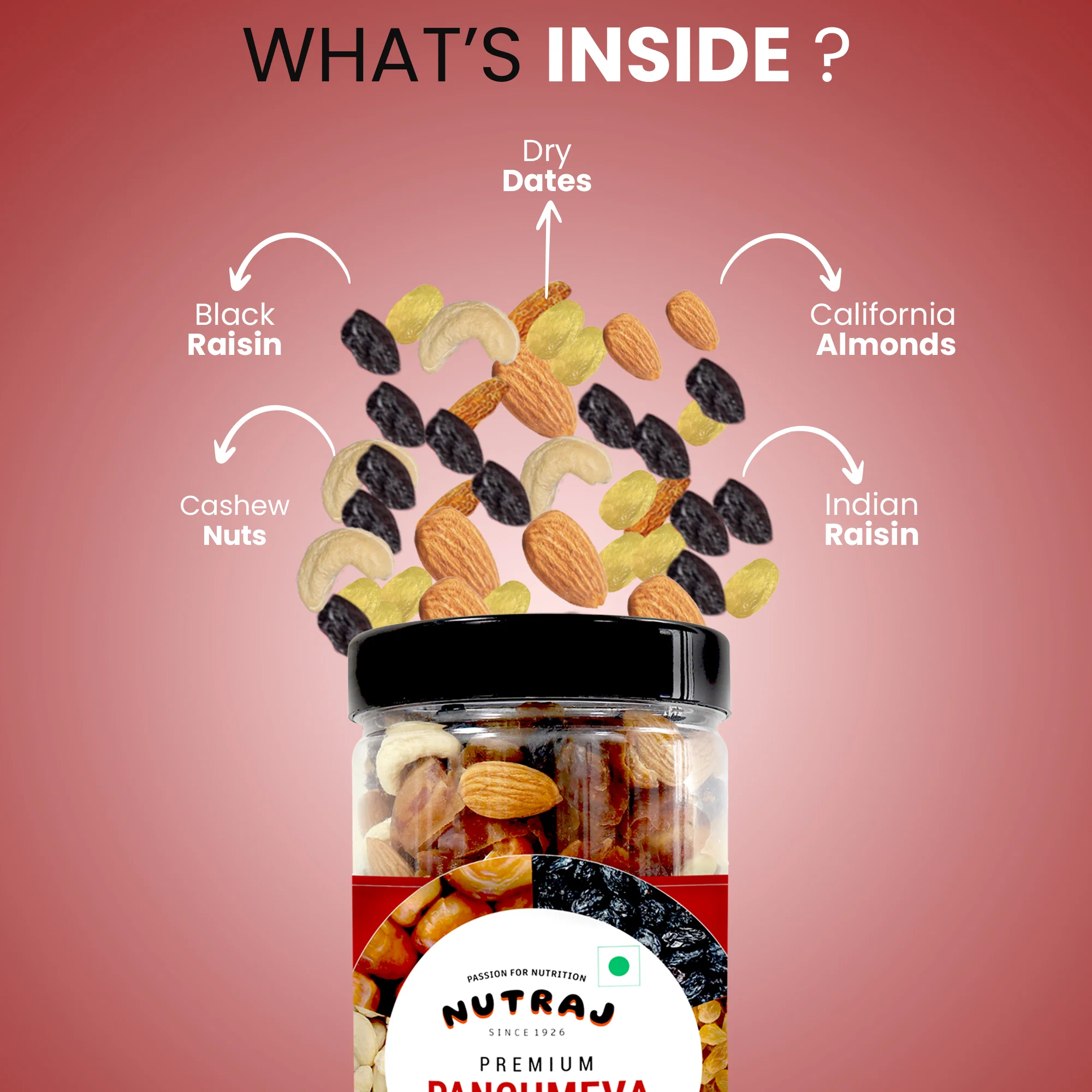 Nutraj Panchmeva Jar 500g Premium Healthy Dry Fruits Mix - Image 4